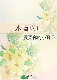木槿花开