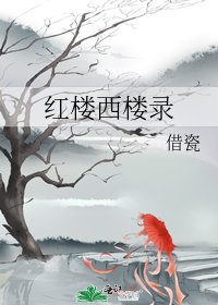 （紅樓同人）紅樓西樓錄